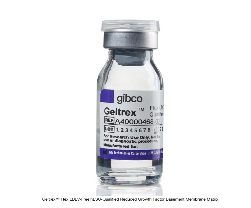 Geltrex™ Flex LDEV-Free hESC-Qualified Reduced Growth Factor Basement Membrane Matrix