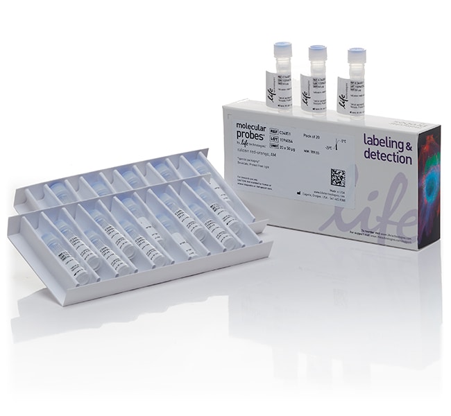 CellTrace 钙黄绿素橙红色染料，AM - 特殊包装