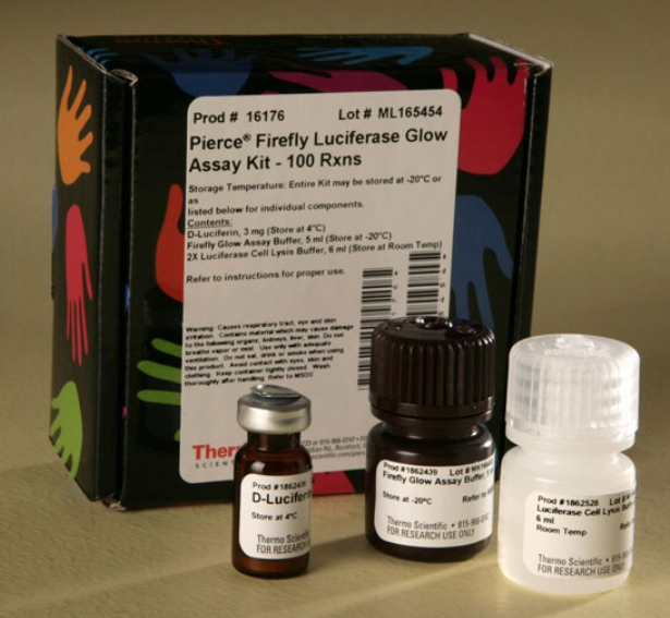 Pierce™ 萤火虫荧光素酶辉光检测试剂盒