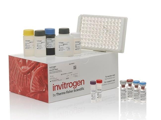 Mouse Osteocalcin ELISA Kit