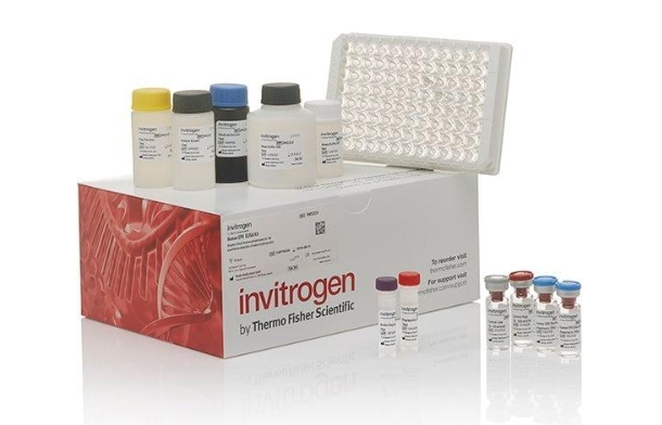 Human IL1RA ELISA Kit   3 篇参考文献