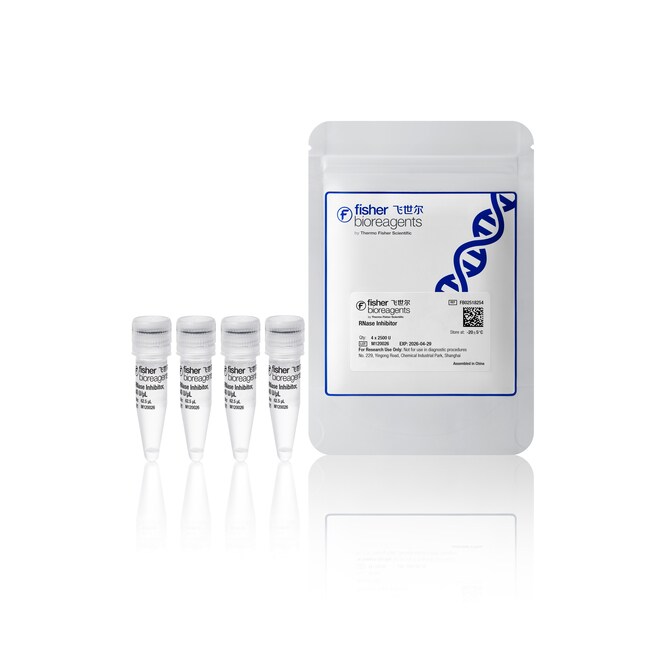 RNase 抑制剂, 4 x 2500 单位