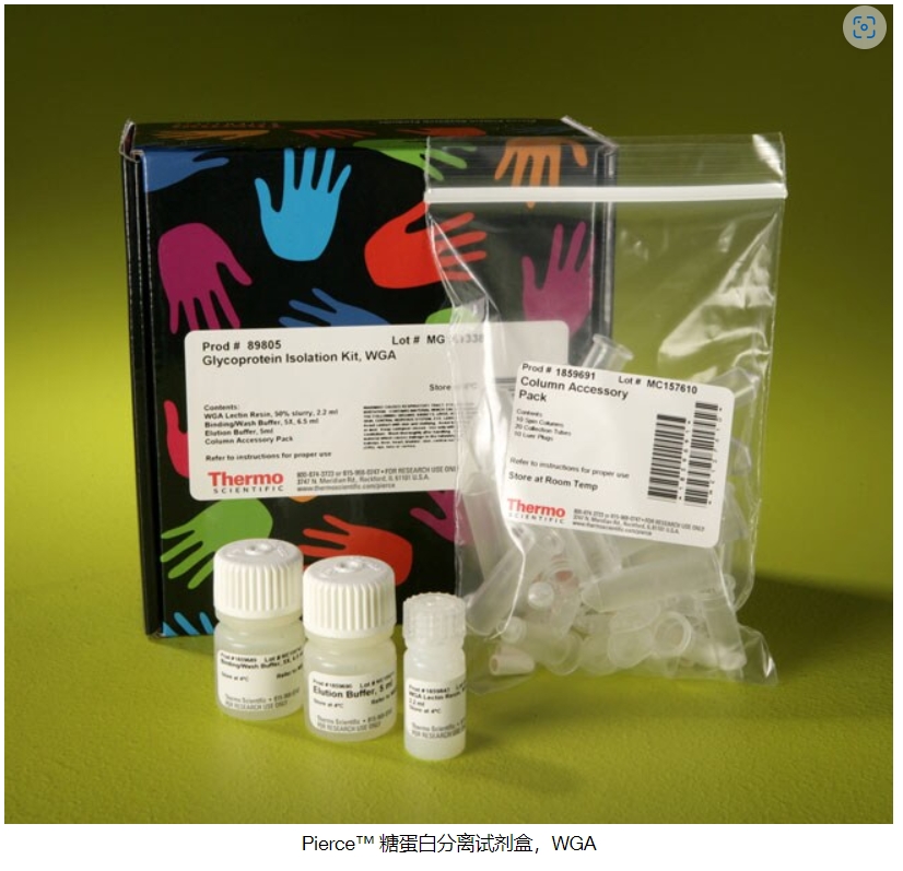 Pierce™ 糖蛋白分离试剂盒，WGA