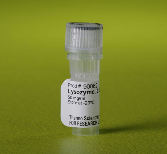 溶菌酶溶液 (50 mg/mL)