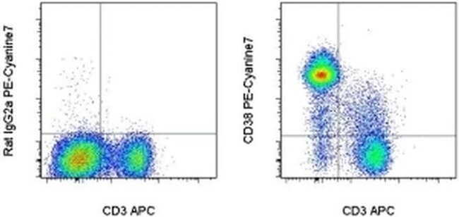 CD38 Monoclonal Antibody (90), PE-Cyanine7, eBioscience