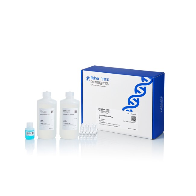 EazeQuant BCA 蛋白定量试剂盒, 1 L (5000 孔)