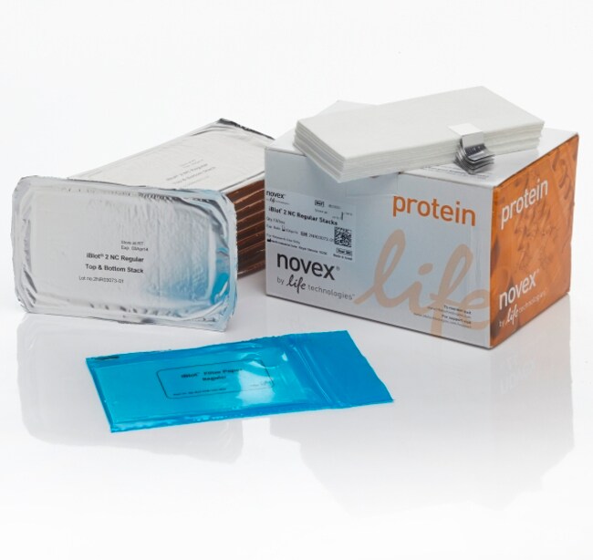 iBlot™ 2转印膜组，硝酸纤维素，常规尺寸