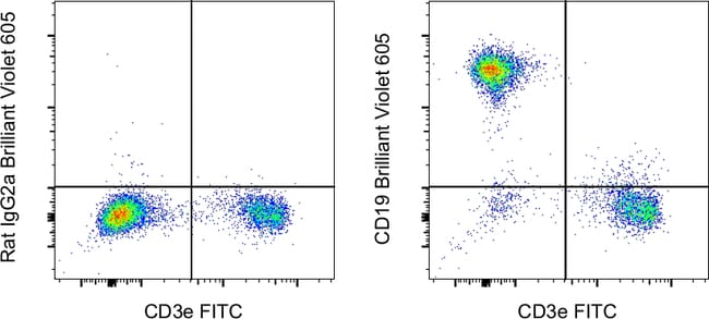 CD19 Monoclonal Antibody (eBio1D3 (1D3)), Brilliant Violet 605, eBioscience