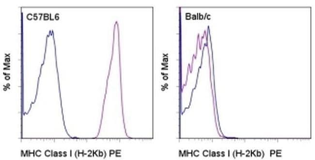 MHC Class I (H-2Kb) Monoclonal Antibody (AF6-88.5.5.3), PE, eBioscience