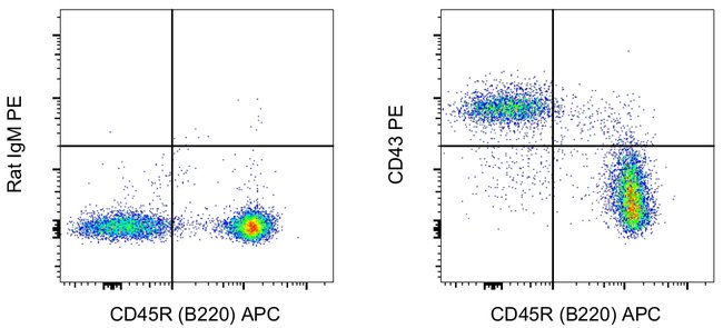 CD43 Monoclonal Antibody (eBioR2/60), PE, eBioscience