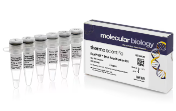 EquiPhi29™ DNA Amplification Kit