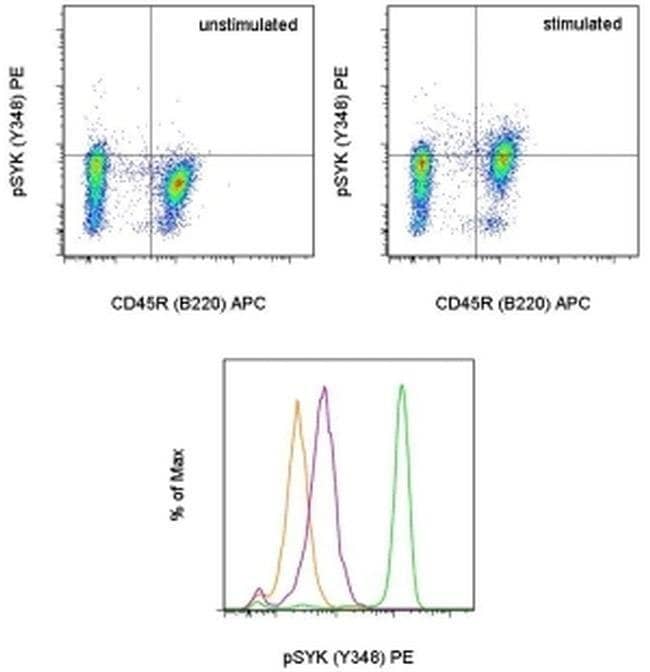 Phospho-Syk (Tyr348) Monoclonal Antibody (moch1ct), PE, eBioscience