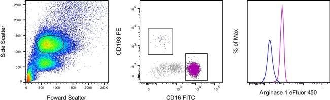 Arginase 1 Monoclonal Antibody (A1exF5), eFluor 450, eBioscience