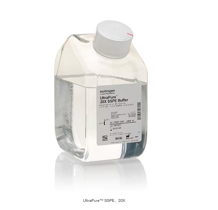 UltraPure™ SSPE，20X