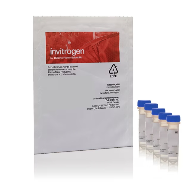 MitoTracker™ Dyes for Mitochondria Labeling
