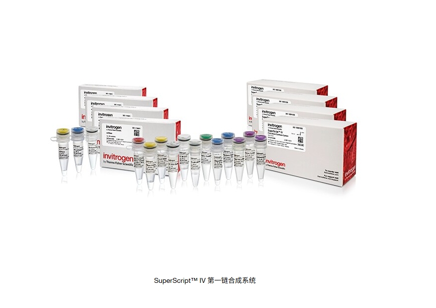 SuperScript™ IV 第一链合成系统