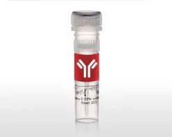 Dectin 1 Polyclonal Antibody