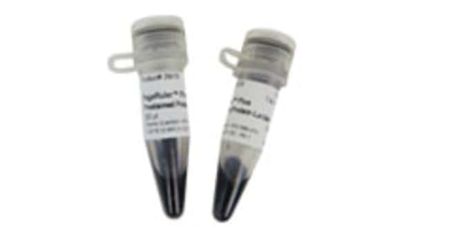 PageRuler Plus预染蛋白Marker, 10-250 kDa