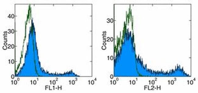 CD90.1 (Thy-1.1) Monoclonal Antibody (HIS51), PE, eBioscience