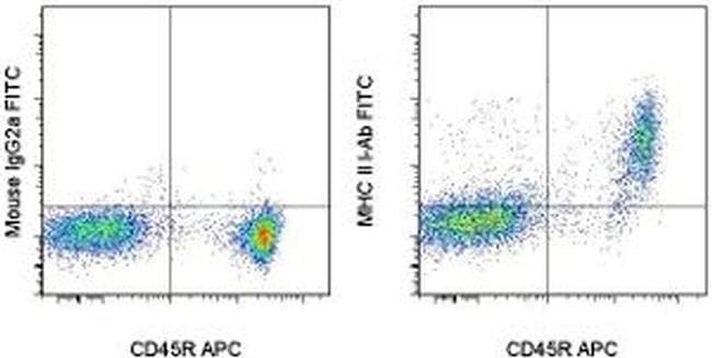 MHC Class II I-Ab Monoclonal Antibody (AF6-120.1), FITC, eBioscience