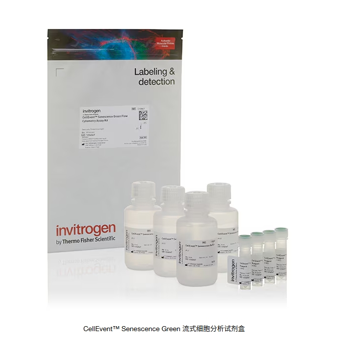 CellEvent™ Senescence Green 流式细胞分析试剂盒