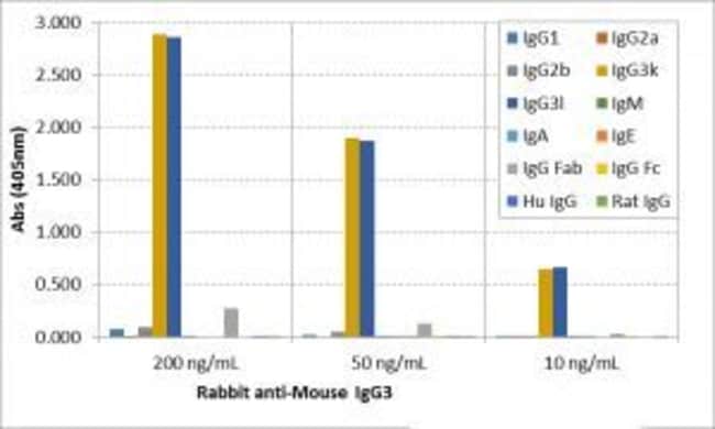 Rabbit anti-Mouse IgG3 Recombinant Secondary Antibody