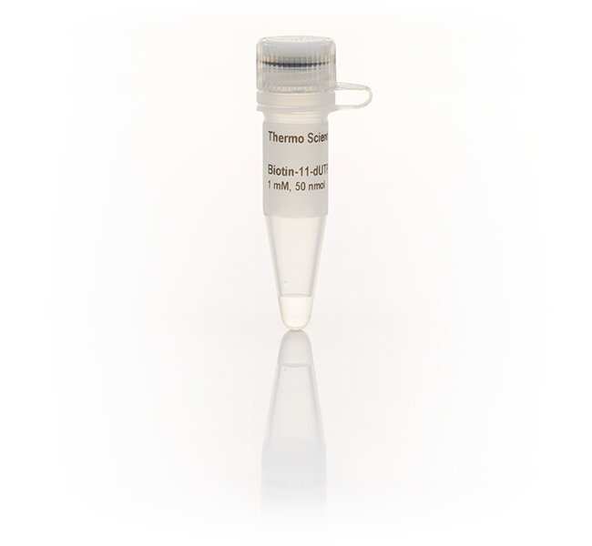 Biotin-11-dUTP 溶液 (1 mM)