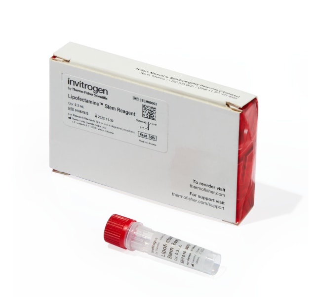 Lipofectamine 干细胞转染试剂