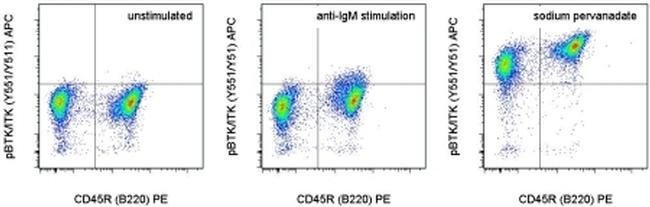 Phospho-BTK/ITK (Tyr551, Tyr511) Monoclonal Antibody (M4G3LN), APC, eBioscience
