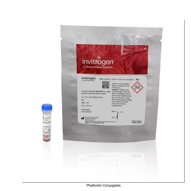 Phalloidin Conjugates