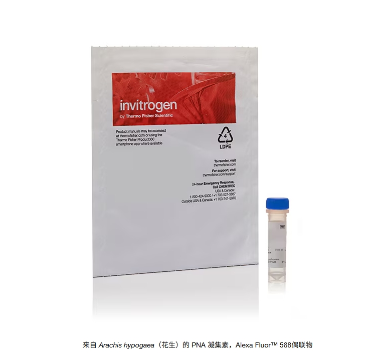 来自 Arachis hypogaea（花生）的 PNA 凝集素，Alexa Fluor™ 568偶联物