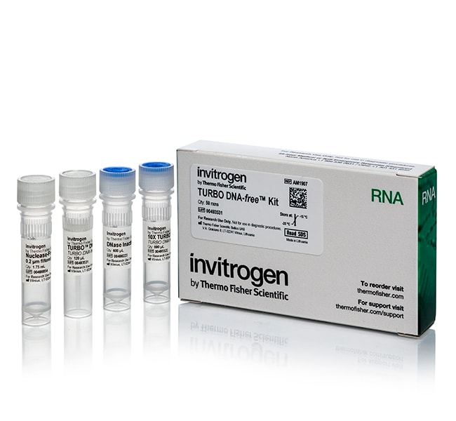 TURBO DNA-<i>free</i> 试剂盒