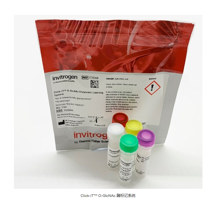 Click-iT™ O-GlcNAc 酶标记系统