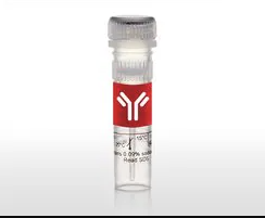PCOLCE Polyclonal Antibody