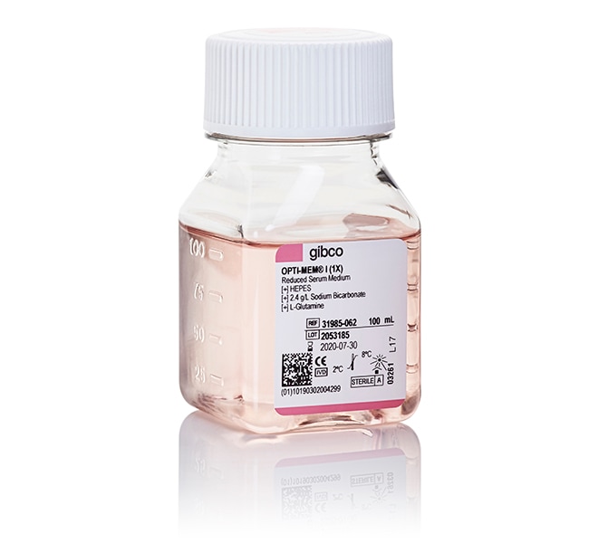 Opti-MEM I 减血清培养基(转染培养基），100ml