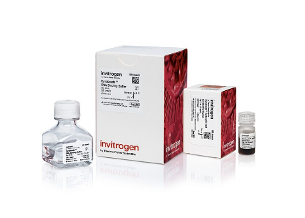 Dynabeads™ RNA 纯化试剂盒