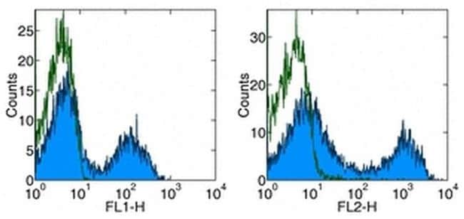 CD5 Monoclonal Antibody (53-7.3), Biotin, eBioscience