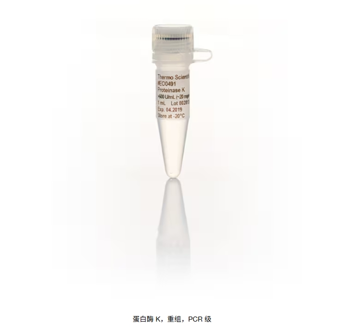 蛋白酶 K，重组，PCR 级