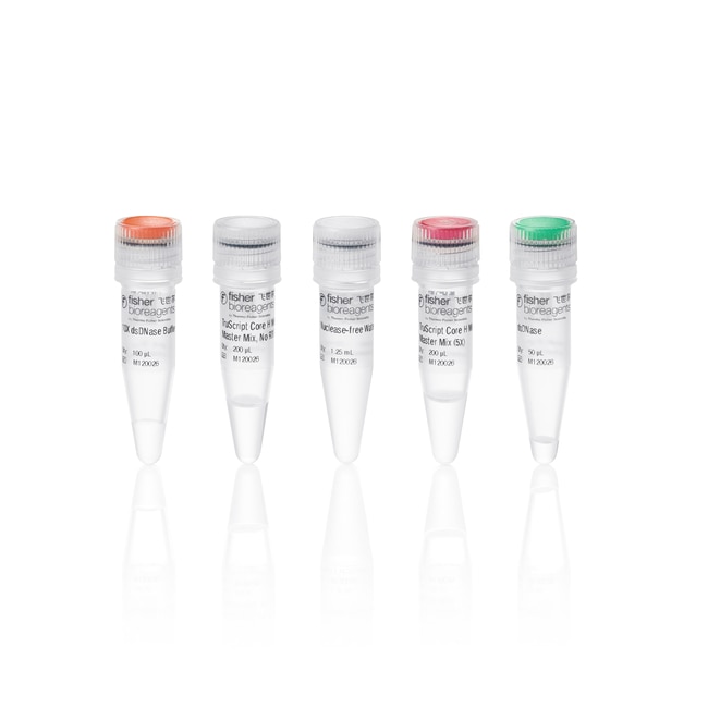 TruScript Core H Minus 反转录预混液含 DNase, 50 次反应