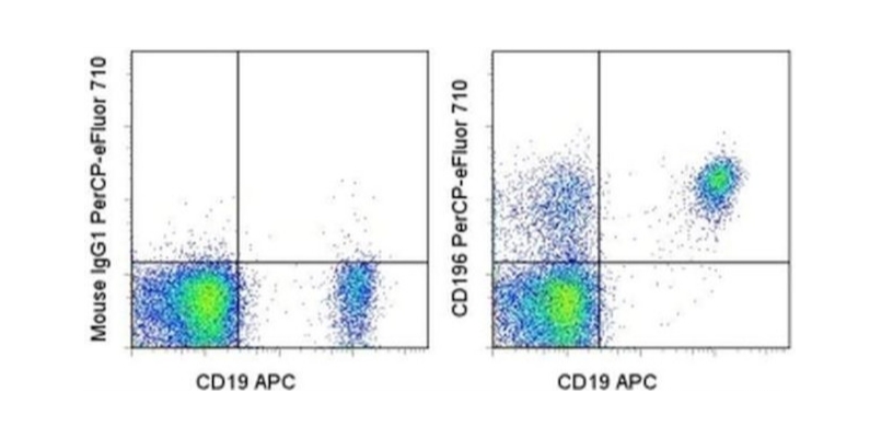 CD196 (CCR6) Monoclonal Antibody (R6H1), PerCP-eFluor™ 710, eBioscience™