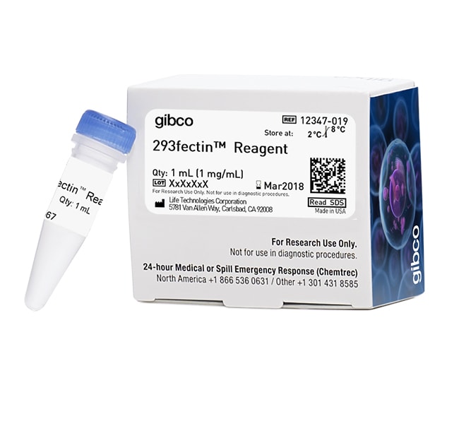 293fectin 转染试剂