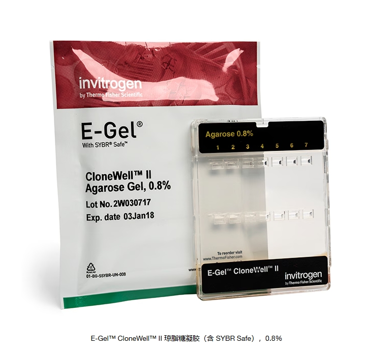 E-Gel™ CloneWell™ II 琼脂糖凝胶（含 SYBR Safe），0.8%