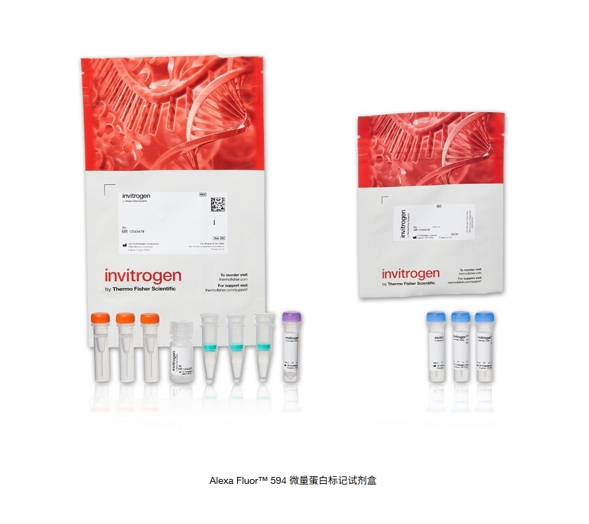 Alexa Fluor™ 594 微量蛋白标记试剂盒