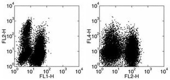 TNF alpha Monoclonal Antibody (MP6-XT22), eBioscience