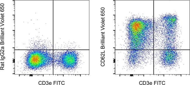 CD62L (L-Selectin) Monoclonal Antibody (MEL-14), Brilliant Violet 650, eBioscience