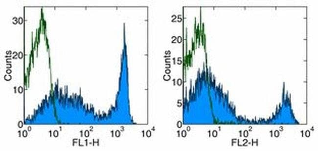 CD90.2 (Thy-1.2) Monoclonal Antibody (53-2.1), PE, eBioscience