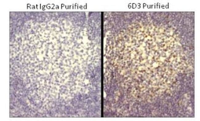 Blimp-1 Monoclonal Antibody (6D3), eBioscience