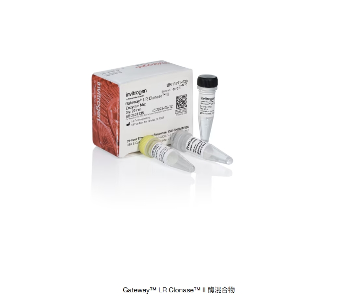 Gateway™ LR Clonase™ II 酶混合物