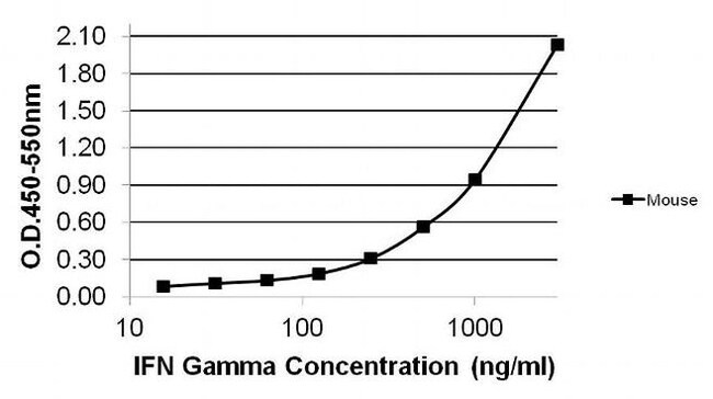 IFN gamma Monoclonal Antibody (XMG1.2)