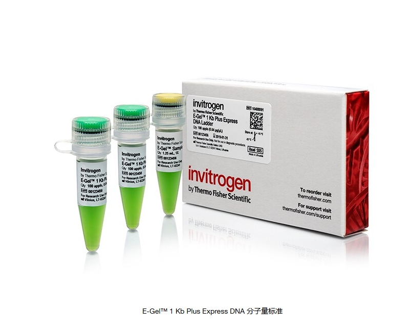 E-Gel™ 1 Kb Plus Express DNA 分子量标准